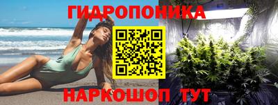 крисы Заводоуковск
