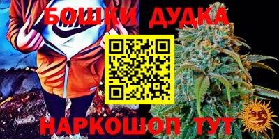 крисы Заводоуковск